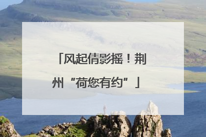 风起倩影摇！荆州“荷您有约”